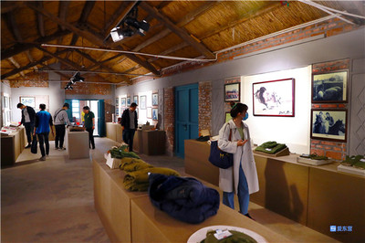 東營·來自重點工程項目一線的報道 | 黃河口生態旅游區 擦亮“黃河入海、我們回家”品牌，展覽服務助力生態文旅升級